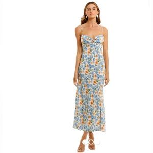 NWT floral JardinVue dress